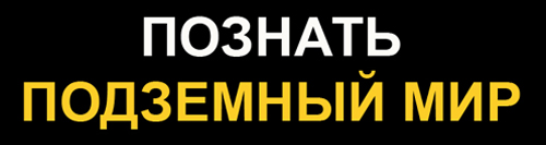 Познать подземный мир: результаты работы диггер-клуба